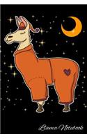 Llama Notebook