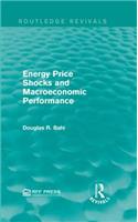 Energy Price Shocks and Macroeconomic Performance