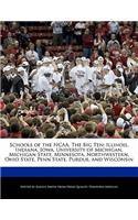 Schools of the Ncaa, the Big Ten: Illinois, Indiana, Iowa, University of Michigan, Michigan State, Minnesota, Northwestern, Ohio State, Penn State, Purdue, and Wisconsin