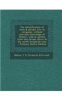 The Identification of Trees & Shrubs; How to Recognize, Without Previous Knowledge of Botany, Wild or Garden Trees and Shrubs Native to the North Temp