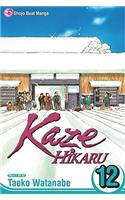 Kaze Hikaru, Vol. 12