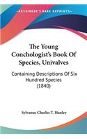 Young Conchologist's Book Of Species, Univalves