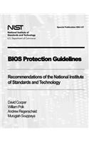 BIOS Protection Guidelines