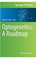 Optogenetics: A Roadmap