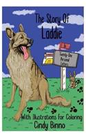 Story Of Laddie In Twenty-One Personal Letters