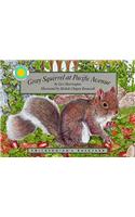 Gray Squirrel at Pacific Avenue