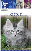 A Perfect Kitten Guide