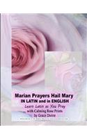 Marian Prayers Hail Mary IN LATIN and in ENGLISH Learn Latin as You Pray with Calming Rose Prints by Grace Divine