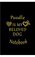 Poodle Is My Beloved Dog Notebook: Lined Notebook/Journal/Diary Gift For Poodle Lovers.