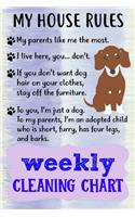 Weekly Cleaning Chart