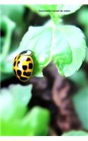 Coccinelle Carnet de notes: Journal A5 ligné original de 119 pages- Une belle idée de cadeau pour les amoureux des animaux