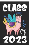 Class of 2023