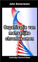 Organisatie van menselijke chromosomen: (2 Medische Genetica 1)