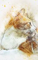 Notebook Journal: This Cat Notebook/ Cat Journal / Cat Women / For Cats Pets Lover (6x9 Journal) Lined Writing Notebook, 120 Pages Cat Gifts for Cat lovers. Compositi