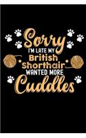 Sorry I'm Late My British Shorthair Wanted More Cuddles