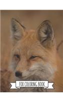 Fox Coloring Book