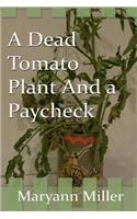 Dead Tomato Plant and a Paycheck