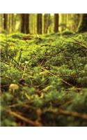 Moss Carpet Sketchbook: Blank Art Sketch Pad Journal Notebook(37 Go Green 150 Sketch)