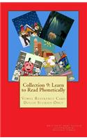 Collection 9: Learn to Read Phonetically: Vowel Reference Card Dolch Stories Only