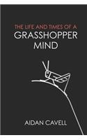 The Life and Times of a Grasshopper Mind