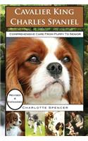 Cavalier King Charles Spaniel