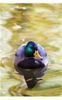Duck Notebook