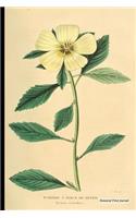 Botanical Print Journal