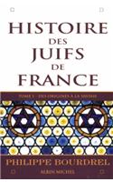 Histoire Des Juifs de France - Tome 1