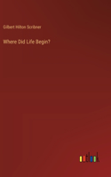 Where Did Life Begin?