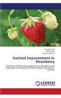 Varietal Improvement in Strawberry