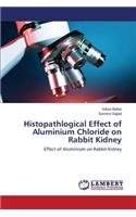 Histopathlogical Effect of Aluminium Chloride on Rabbit Kidney
