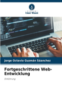 Fortgeschrittene Web-Entwicklung