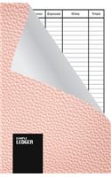 Simple Ledger