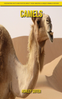 Camels: Fascinating Facts and Photos about These Amazing & Unique Animals for Kids