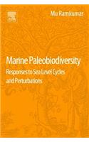 Marine Paleobiodiversity