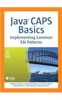 Java Caps Basics: Implementing Common Eai Patterns
