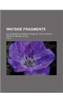 Wayside Fragments; Or, Wonders in Common Things, by the Author of 'Peeps at Nature' (E.W.P.).