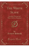 The White Slave: Another Picture of Slave Life in America (Classic Reprint)