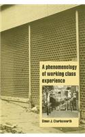 A Phenomenology of Working-Class Experience