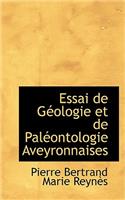 Essai de Geologie Et de Paleontologie Aveyronnaises