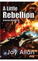 Little Rebellion
