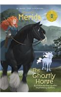 Merida #3: The Ghostly Horse