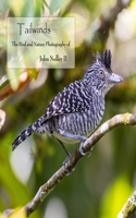 Tailwinds: The Bird and Nature Photography of John Nolley II
