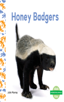 Honey Badgers: (Interesting Animals)