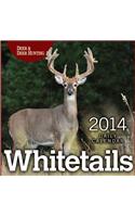 2014 Deer & Deer Hunting Page-a-Day Calendar