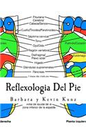 Reflexologia Del Pie