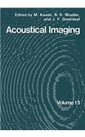 Acoustical Imaging