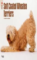 2018 Wheaten Terriers Soft Coated Wall