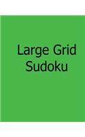 Large Grid Sudoku
