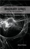 Imaginary Things: (Inside the Mind of a Schizophrenic) From Darkness...To Lunacy...To Light